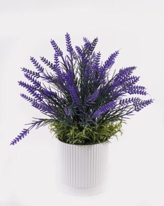 Artificial Flower 24*24*35cm Lavender in PP pot GS-79925007 2025SEP YeahFlower is one of Chinese leading OEM manufacturers and exporters , supplying the silk flowers, wholesale artificial trees Artificial Flower 24*24*35cm Lavender in PP pot GS-79925007 2025SEP YeahFlower is one of Chinese leading OEM manufacturers and exporters , supplying the silk flowers, wholesale artificial trees