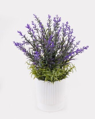 Artificial Flower 16*16*30cm Lavender in PP pot GS-79925008 2025SEP YeahFlower is one of Chinese leading OEM manufacturers and exporters , supplying the silk flowers, wholesale artificial trees Artificial Flower 16*16*30cm Lavender in PP pot GS-79925008 2025SEP YeahFlower is one of Chinese leading OEM manufacturers and exporters , supplying the silk flowers, wholesale artificial trees
