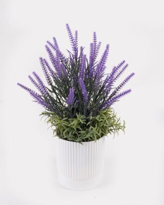 Artificial Flower 18*18*31cm Lavender in PP pot GS-79925009 2025SEP YeahFlower is one of Chinese leading OEM manufacturers and exporters , supplying the silk flowers, wholesale artificial trees Artificial Flower 18*18*31cm Lavender in PP pot GS-79925009 2025SEP YeahFlower is one of Chinese leading OEM manufacturers and exporters , supplying the silk flowers, wholesale artificial trees