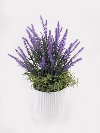 Artificial Flower 28*28*32cm Lavender in  PP pot GS-79925010 2025SEP 3,000+ sqm showroom with thousands of artificial flowers, plants & trees ready for global sourcing.