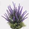 Artificial Flower 18*18*31cm Lavender in  PP pot GS-79925009 2025SEP YeahFlower is one of Chinese leading OEM manufacturers and exporters , supplying the silk flowers, wholesale artificial trees