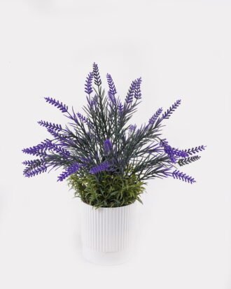 Artificial Flower 28*28*32cm Lavender in PP pot GS-79925010 2025SEP YeahFlower is one of Chinese leading OEM manufacturers and exporters , supplying the silk flowers, wholesale artificial trees Artificial Flower 28*28*32cm Lavender in PP pot GS-79925010 2025SEP YeahFlower is one of Chinese leading OEM manufacturers and exporters , supplying the silk flowers, wholesale artificial trees