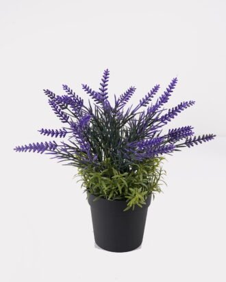 Artificial Flower 20*20*28cm Lavenderin PP pot GS-79925004 2025SEP YeahFlower is one of Chinese leading OEM manufacturers and exporters , supplying the silk flowers, wholesale artificial trees Artificial Flower 20*20*28cm Lavenderin PP pot GS-79925004 2025SEP YeahFlower is one of Chinese leading OEM manufacturers and exporters , supplying the silk flowers, wholesale artificial trees