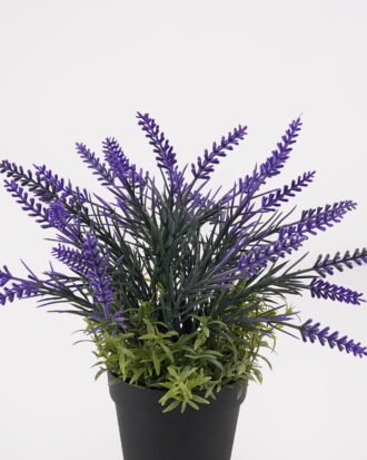 Artificial Flower 20*20*28cm Lavenderin PP pot GS-79925004 2025SEP YeahFlower is one of Chinese leading OEM manufacturers and exporters , supplying the silk flowers, wholesale artificial trees Artificial Flower 20*20*28cm Lavenderin PP pot GS-79925004 2025SEP YeahFlower is one of Chinese leading OEM manufacturers and exporters , supplying the silk flowers, wholesale artificial trees