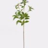 Artificial Flower 23*23*76cm Leaf single stem GS-46725027 2025AUG YeahFlower is one of Chinese leading OEM manufacturers and exporters , supplying the silk flowers, wholesale artificial trees