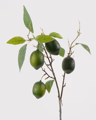 Artificial Flower 18*18*72cm Lemon *4 single stem GS-79725002 2025SEP YeahFlower is one of Chinese leading OEM manufacturers and exporters , supplying the silk flowers, wholesale artificial trees Artificial Flower 18*18*72cm Lemon *4 single stem GS-79725002 2025SEP YeahFlower is one of Chinese leading OEM manufacturers and exporters , supplying the silk flowers, wholesale artificial trees