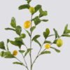 Artificial Flower Lemon branch single stem GS-14525008_2 Artificial Flower 38*38*116cm Lemon branch single stem GS-14525008 2025JUL YeahFlower is one of Chinese leading OEM manufacturers and exporters , supplying the silk flowers, wholesale artificial trees
