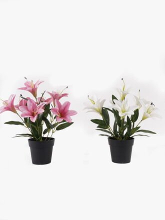 Artificial Flower 15*15*17cm Wild Daisy in PP pot GS-03325004 2025JUL 3,000+ sqm showroom with thousands of artificial flowers, plants & trees ready for global sourcing.