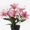 Artificial Flower 25*25*32cm Lily in PP pot GS-03325003 2025JUL YeahFlower is one of Chinese leading OEM manufacturers and exporters , supplying the silk flowers, wholesale artificial trees