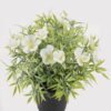 Artificial Flower 22*22*25cm Lobelia in PP pot GS-03325007-W1 2025JUL YeahFlower is one of Chinese leading OEM manufacturers and exporters , supplying the silk flowers, wholesale artificial trees