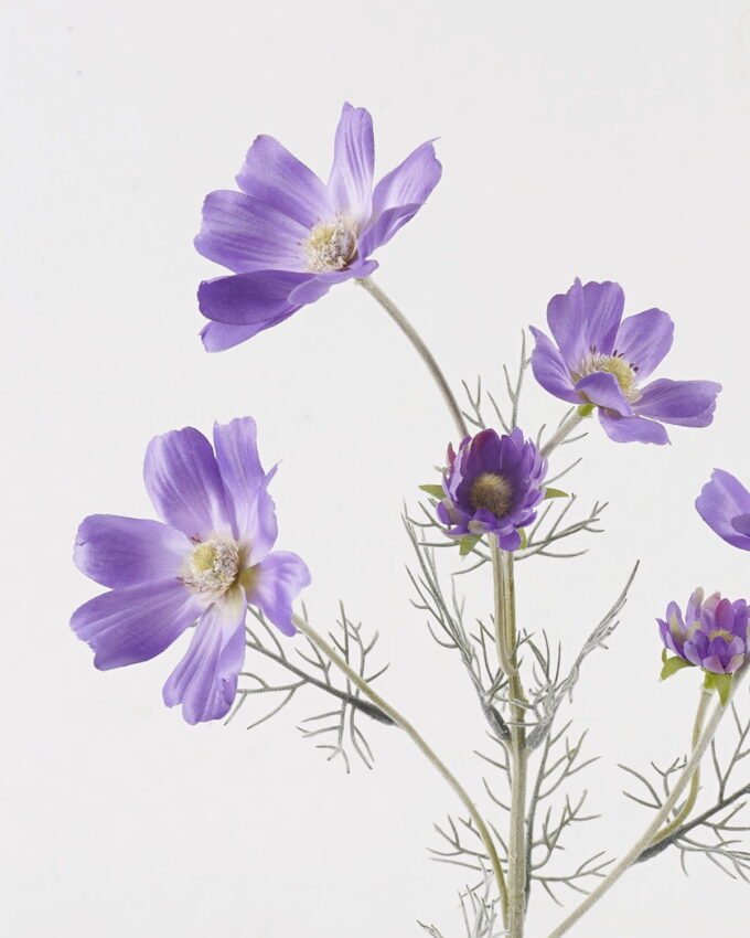 Artificial Flower 21*21*60cm Mexican aster *6 single stem GS-17725030 2025JUL YeahFlower is one of Chinese leading OEM manufacturers and exporters , supplying the silk flowers, wholesale artificial trees