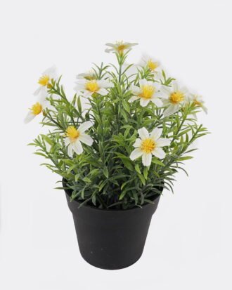 Artificial Flower 18*18*22cm Mum in PP Pot GS-03325012-W1 2025JUL YeahFlower is one of Chinese leading OEM manufacturers and exporters , supplying the silk flowers, wholesale artificial trees Artificial Flower 18*18*22cm Mum in PP Pot GS-03325012-W1 2025JUL YeahFlower is one of Chinese leading OEM manufacturers and exporters , supplying the silk flowers, wholesale artificial trees