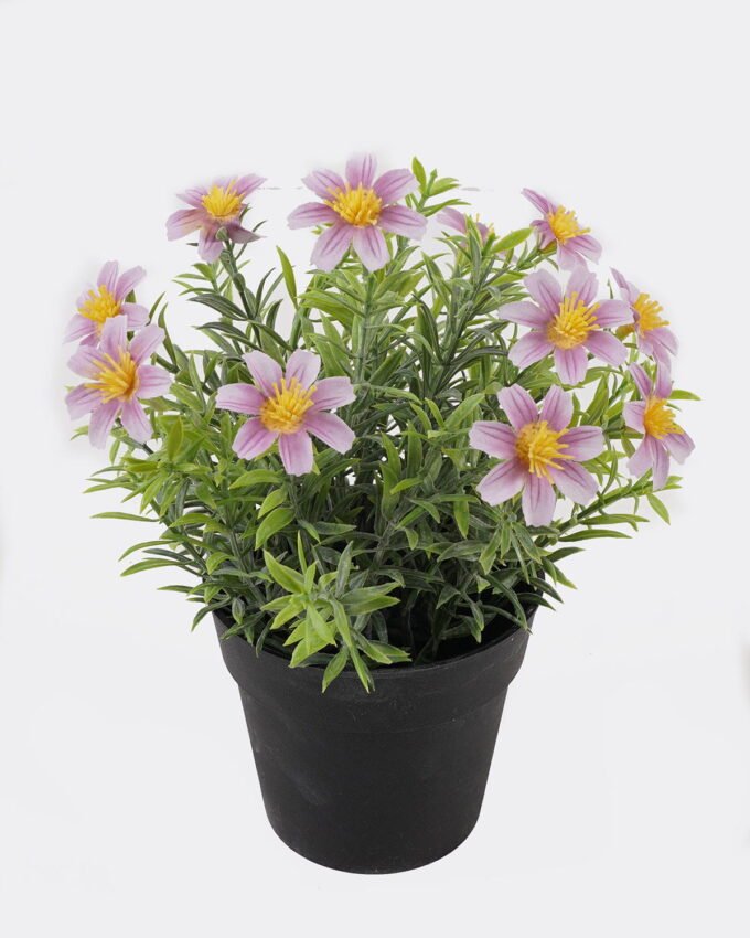 Artificial Flower 18*18*22cm Mum in PP Pot GS-03325012 2025JUL YeahFlower is one of Chinese leading OEM manufacturers and exporters , supplying the silk flowers, wholesale artificial trees