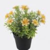 Artificial Flower 18*18*22cm Mum in PP Pot GS-03325012 2025JUL YeahFlower is one of Chinese leading OEM manufacturers and exporters , supplying the silk flowers, wholesale artificial trees