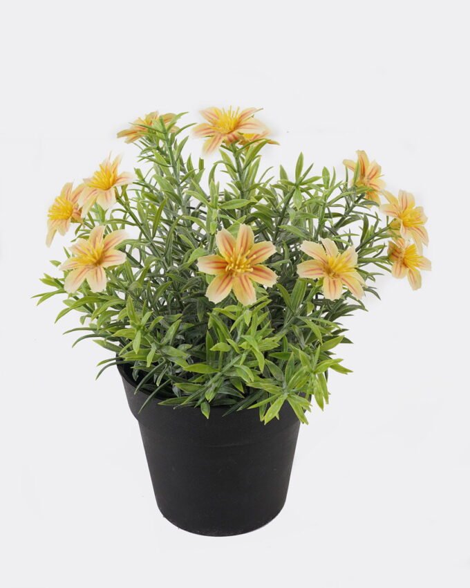 Artificial Flower 18*18*22cm Mum in PP Pot GS-03325012 2025JUL YeahFlower is one of Chinese leading OEM manufacturers and exporters , supplying the silk flowers, wholesale artificial trees