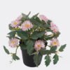 Artificial Flower 20*20*19cm Mum in PP pot GS-03325016 2025JUL YeahFlower is one of Chinese leading OEM manufacturers and exporters , supplying the silk flowers, wholesale artificial trees