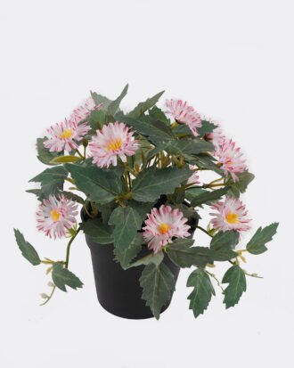 Artificial Flower 20*20*19cm Mum in PP pot GS-03325016 2025JUL YeahFlower is one of Chinese leading OEM manufacturers and exporters , supplying the silk flowers, wholesale artificial trees Artificial Flower 20*20*19cm Mum in PP pot GS-03325016 2025JUL YeahFlower is one of Chinese leading OEM manufacturers and exporters , supplying the silk flowers, wholesale artificial trees