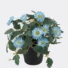 Artificial Flower 20*20*19cm Mum in PP pot GS-03325016 2025JUL YeahFlower is one of Chinese leading OEM manufacturers and exporters , supplying the silk flowers, wholesale artificial trees