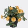 Artificial Flower 20*20*19cm Mum in PP pot GS-03325016 2025JUL YeahFlower is one of Chinese leading OEM manufacturers and exporters , supplying the silk flowers, wholesale artificial trees