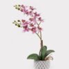 Artificial Flower 32*11*40cm Orchid in Cement pot GS-03324052-P1 2025JUL YeahFlower is one of Chinese leading OEM manufacturers and exporters , supplying the silk flowers, wholesale artificial trees