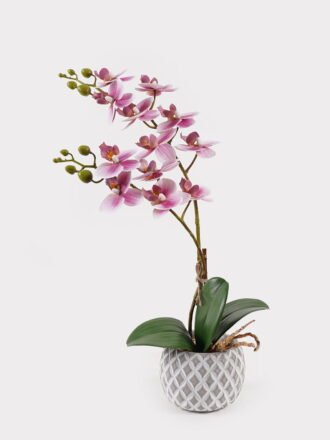 Artificial Table Plants 52*46*55cm Syngonium podophyllum in PP pot GS-03325021 2025JUL 3,000+ sqm showroom with thousands of artificial flowers, plants & trees ready for global sourcing.