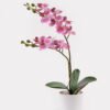 Artificial Flower 30*11*40cm Orchid in PP pot GS-03325040-P3 2025JUL YeahFlower is one of Chinese leading OEM manufacturers and exporters , supplying the silk flowers, wholesale artificial trees