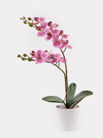 Artificial Flower 30*11*40cm Orchid in PP pot GS-03325040 2025JUL 3,000+ sqm showroom with thousands of artificial flowers, plants & trees ready for global sourcing.