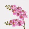 Artificial Flower 30*11*40cm Orchid in PP pot GS-03325040-P3 2025JUL YeahFlower is one of Chinese leading OEM manufacturers and exporters , supplying the silk flowers, wholesale artificial trees