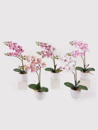 Artificial Table Plants 50*50*60cm Alocasia in PP pot GS-03325039 2025JUL 3,000+ sqm showroom with thousands of artificial flowers, plants & trees ready for global sourcing.