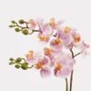 Artificial Flower 30*11*40cm Orchid in PP pot GS-03325040 2025JUL YeahFlower is one of Chinese leading OEM manufacturers and exporters , supplying the silk flowers, wholesale artificial trees