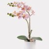 Artificial Flower 30*11*40cm Orchid in PP pot GS-03325040 2025JUL YeahFlower is one of Chinese leading OEM manufacturers and exporters , supplying the silk flowers, wholesale artificial trees
