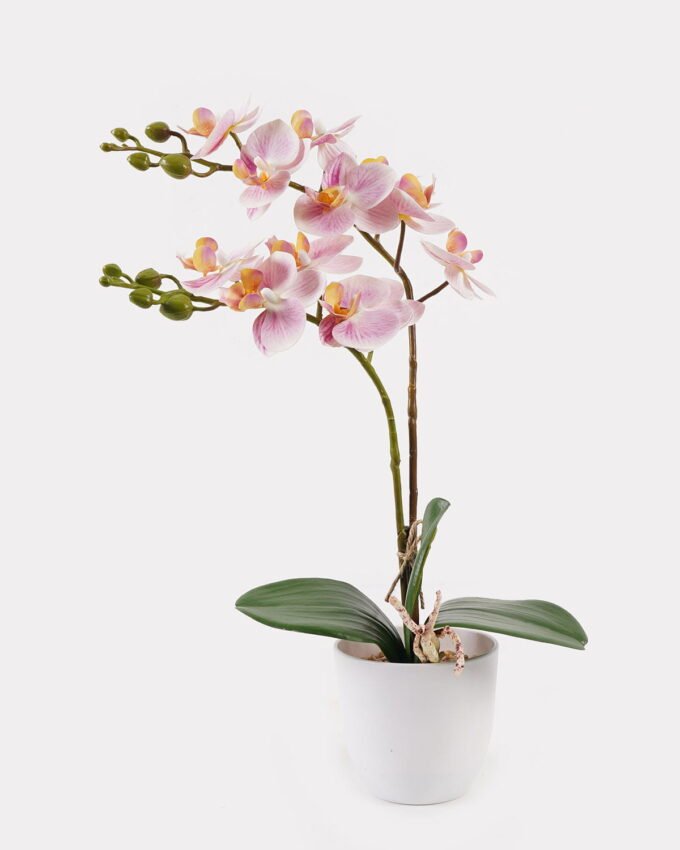 Artificial Flower 30*11*40cm Orchid in PP pot GS-03325040 2025JUL YeahFlower is one of Chinese leading OEM manufacturers and exporters , supplying the silk flowers, wholesale artificial trees