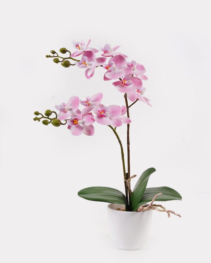 Artificial Flower 30*11*40cm Orchid in PP pot GS-03325040 2025JUL YeahFlower is one of Chinese leading OEM manufacturers and exporters , supplying the silk flowers, wholesale artificial trees