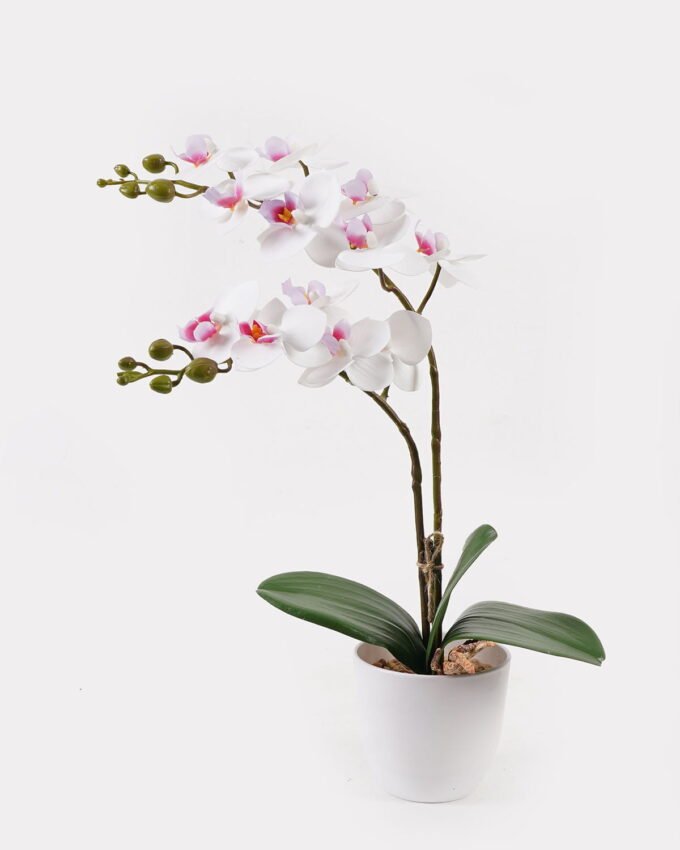 Artificial Flower 30*11*40cm Orchid in PP pot GS-03325040 2025JUL YeahFlower is one of Chinese leading OEM manufacturers and exporters , supplying the silk flowers, wholesale artificial trees