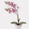 Artificial Flower 30*11*40cm Orchid in PP pot GS-03325040 2025JUL YeahFlower is one of Chinese leading OEM manufacturers and exporters , supplying the silk flowers, wholesale artificial trees