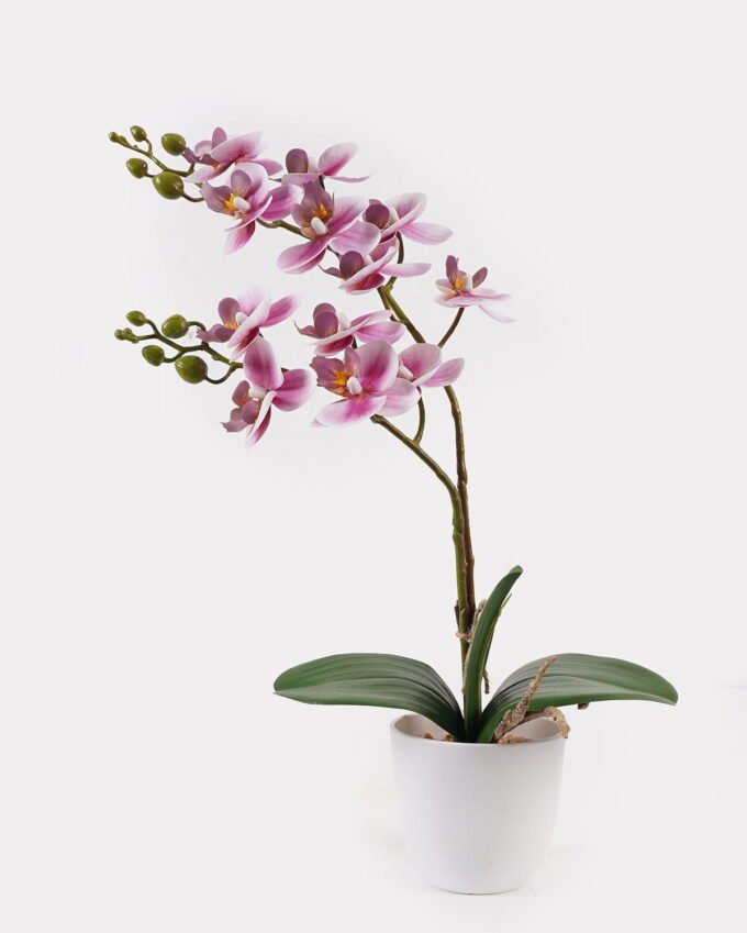 Artificial Flower 30*11*40cm Orchid in PP pot GS-03325040 2025JUL YeahFlower is one of Chinese leading OEM manufacturers and exporters , supplying the silk flowers, wholesale artificial trees