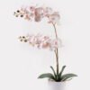 Artificial Flower 36*17*65cm Orchid in PP pot GS-03325041-P1 2025JUL YeahFlower is one of Chinese leading OEM manufacturers and exporters , supplying the silk flowers, wholesale artificial trees