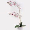 Artificial Flower 36*17*65cm Orchid in PP pot GS-03325041-W1 2025JUL YeahFlower is one of Chinese leading OEM manufacturers and exporters , supplying the silk flowers, wholesale artificial trees