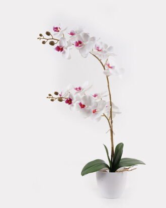 Artificial Flower 36*17*65cm Orchid in PP pot GS-03325041-W1 2025JUL YeahFlower is one of Chinese leading OEM manufacturers and exporters , supplying the silk flowers, wholesale artificial trees
