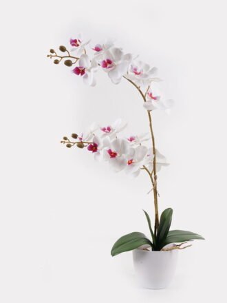 Artificial Flower 36*17*65cm Orchid in PP pot GS-03325041-Z1 2025JUL 3,000+ sqm showroom with thousands of artificial flowers, plants & trees ready for global sourcing.