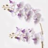 Artificial Flower 36*17*65cm Orchid in PP pot GS-03325041-Z1 2025JUL YeahFlower is one of Chinese leading OEM manufacturers and exporters , supplying the silk flowers, wholesale artificial trees