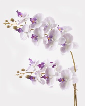 Artificial Flower 36*17*65cm Orchid in PP pot GS-03325041-Z1 2025JUL YeahFlower is one of Chinese leading OEM manufacturers and exporters , supplying the silk flowers, wholesale artificial trees