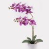 Artificial Flower 36*17*65cm Orchid in PP pot GS-03325041 2025JUL YeahFlower is one of Chinese leading OEM manufacturers and exporters , supplying the silk flowers, wholesale artificial trees