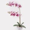 Artificial Flower 36*17*65cm Orchid in PP pot GS-03325041 2025JUL YeahFlower is one of Chinese leading OEM manufacturers and exporters , supplying the silk flowers, wholesale artificial trees