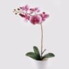 Artificial Flower 30*13*46cm Orchid in PP pot GS-03325042-P2 2025JUL YeahFlower is one of Chinese leading OEM manufacturers and exporters , supplying the silk flowers, wholesale artificial trees
