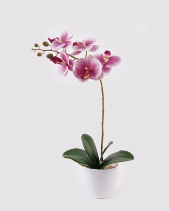 Artificial Flower 30*13*46cm Orchid in PP pot GS-03325042-P2 2025JUL YeahFlower is one of Chinese leading OEM manufacturers and exporters , supplying the silk flowers, wholesale artificial trees