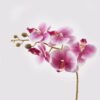 Artificial Flower 30*13*46cm Orchid in PP pot GS-03325042-P2 2025JUL YeahFlower is one of Chinese leading OEM manufacturers and exporters , supplying the silk flowers, wholesale artificial trees