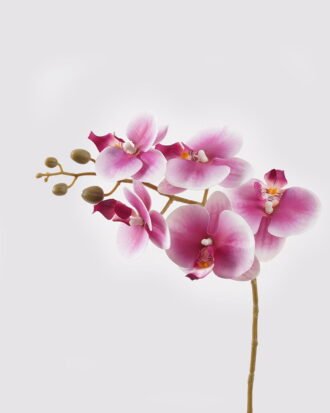 Artificial Flower 30*13*46cm Orchid in PP pot GS-03325042-P2 2025JUL YeahFlower is one of Chinese leading OEM manufacturers and exporters , supplying the silk flowers, wholesale artificial trees