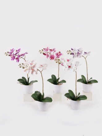 Artificial Flower 30*13*46cm Orchid in PP pot GS-03325042-P2 2025JUL 3,000+ sqm showroom with thousands of artificial flowers, plants & trees ready for global sourcing.
