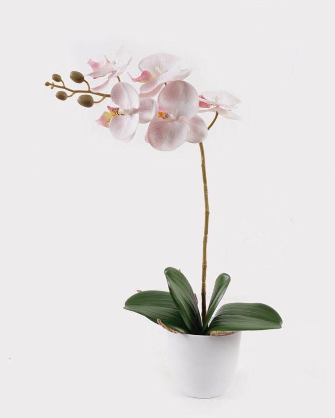 Artificial Flower 30*13*46cm Orchid in PP pot GS-03325042 2025JUL YeahFlower is one of Chinese leading OEM manufacturers and exporters , supplying the silk flowers, wholesale artificial trees
